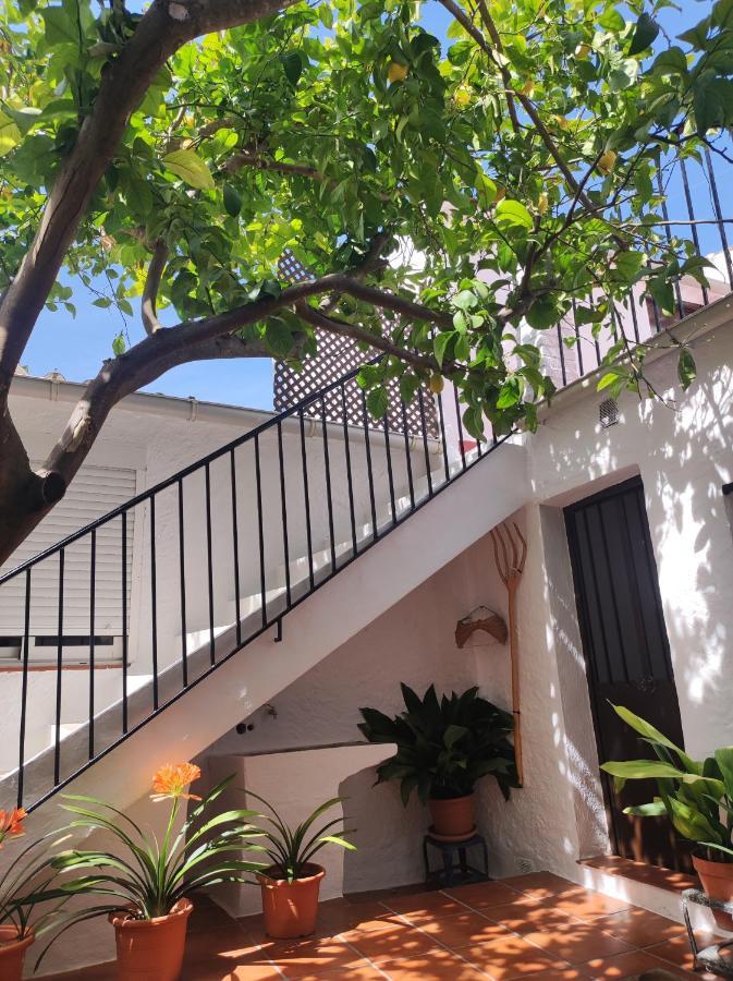 Holiday home Ferrete *